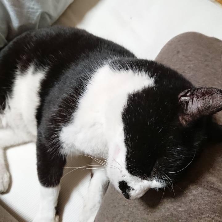 B00efdd3 f7f2 44b6 b48e 8126165fedb3 1603976120716