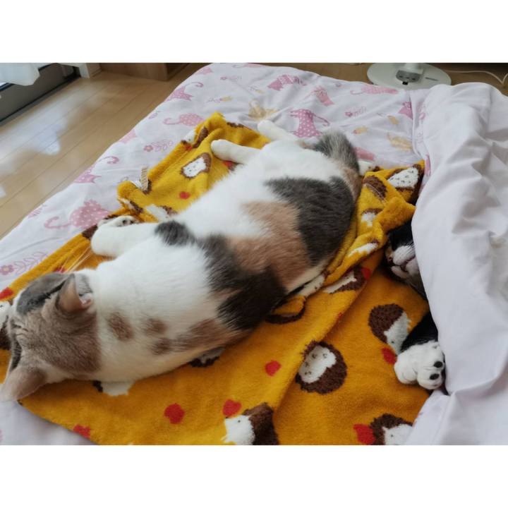 B00f0f89 9715 4711 87df be51a0a6a11e 1654701309829