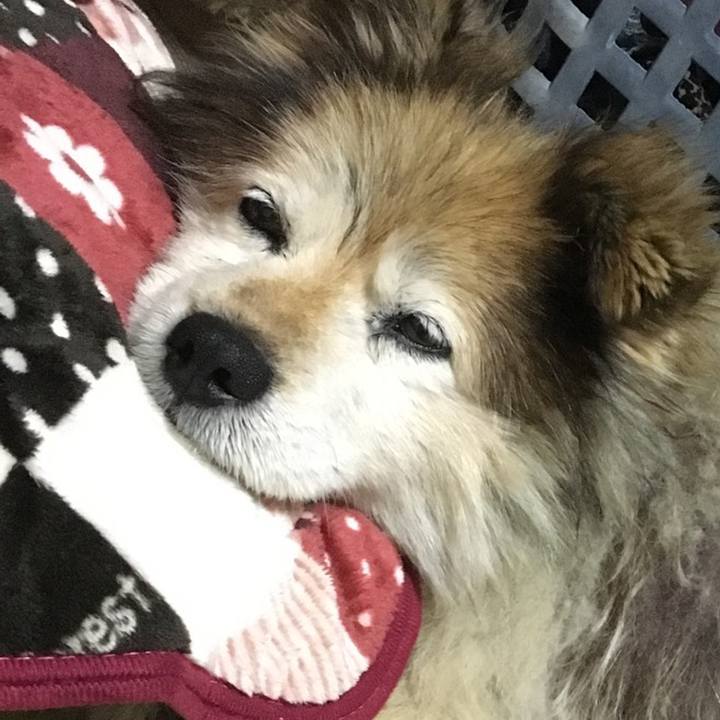 B00f2599 d7d6 43e2 aa84 30e4749d592b 1594433562720