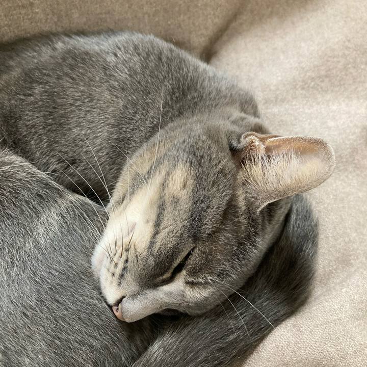 B00f363f a116 4976 b733 f4de9e0287a7 1665146317949