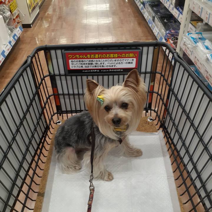 B0100806 bdba 442a 964a fff383ed17ff 1650013484704