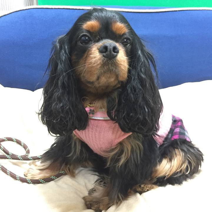 B0101491 ca2a 49bb 833f f0b8e6e06cb8 1519629077512