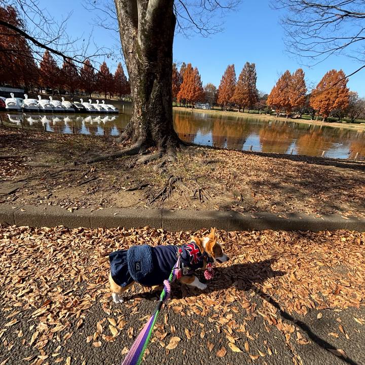 B0101d22 e456 404e 8ffe 2612272132ee 1764474337064