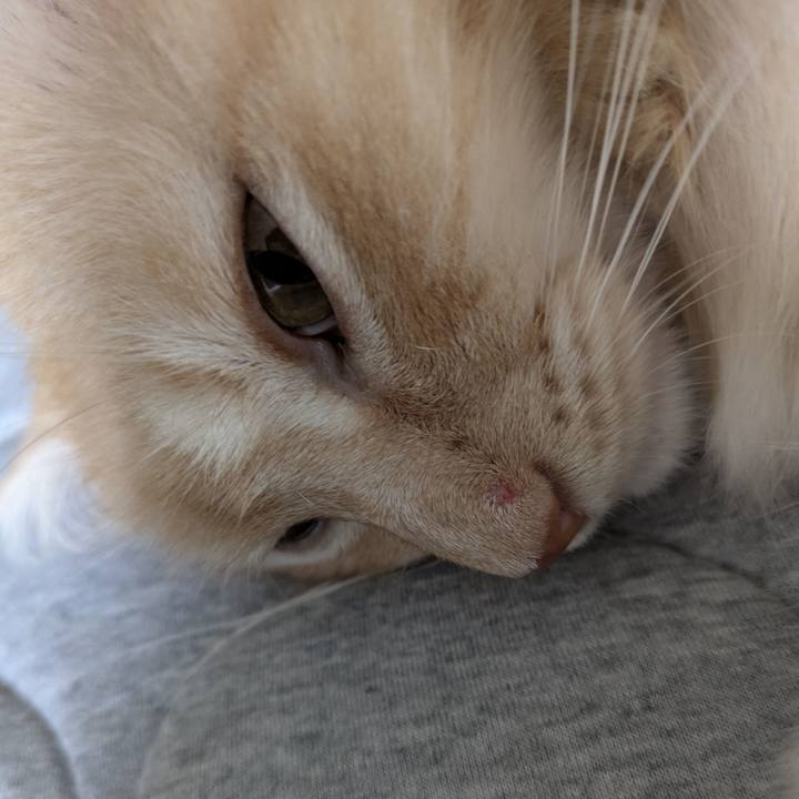 B010b896 7882 4ff3 b5c1 4dbb7da95905 1759705293523