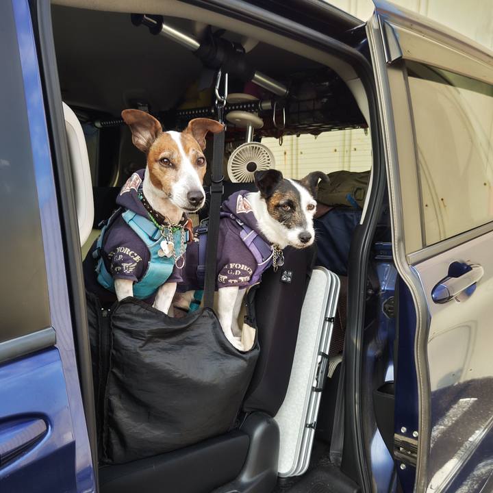 B010c49c a8e9 4804 aa44 5ce25550bb8c 1742717785673