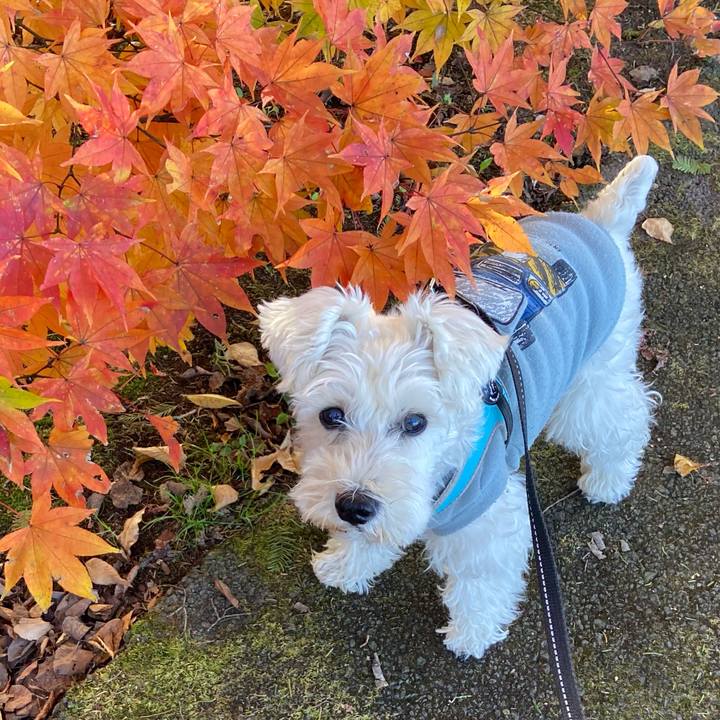 B0110b6d 5dfc 4d03 bb9c 79f4a58b1696 1764032822876