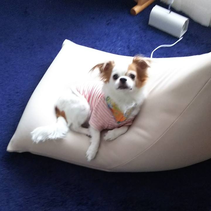 B01117ce 2ad1 406e 9569 0308a1862833 1521813459749