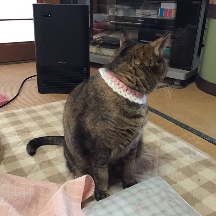 B01125bf 3a17 450b 827c aa418eeec568 1740455425581