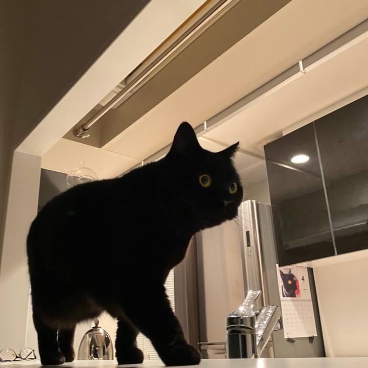 B01149c6 dc10 440d b57e f215507ace7f 1743941874011