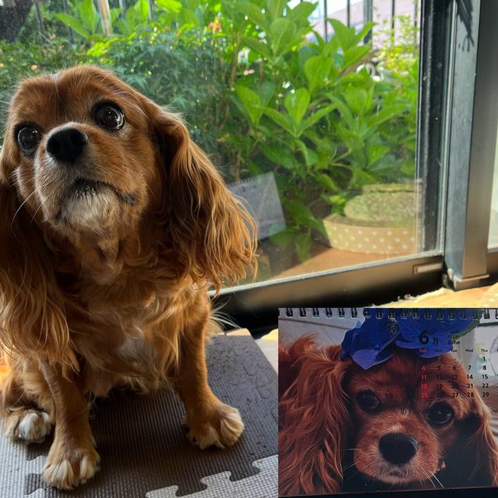 B0116b30 bbd8 41e1 8dba 14cf3074c5bb 1685571446443