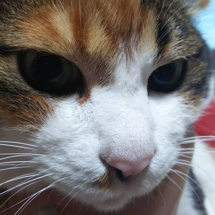 B0118524 1054 4e51 97b3 a6b5e670352d 1583099408492