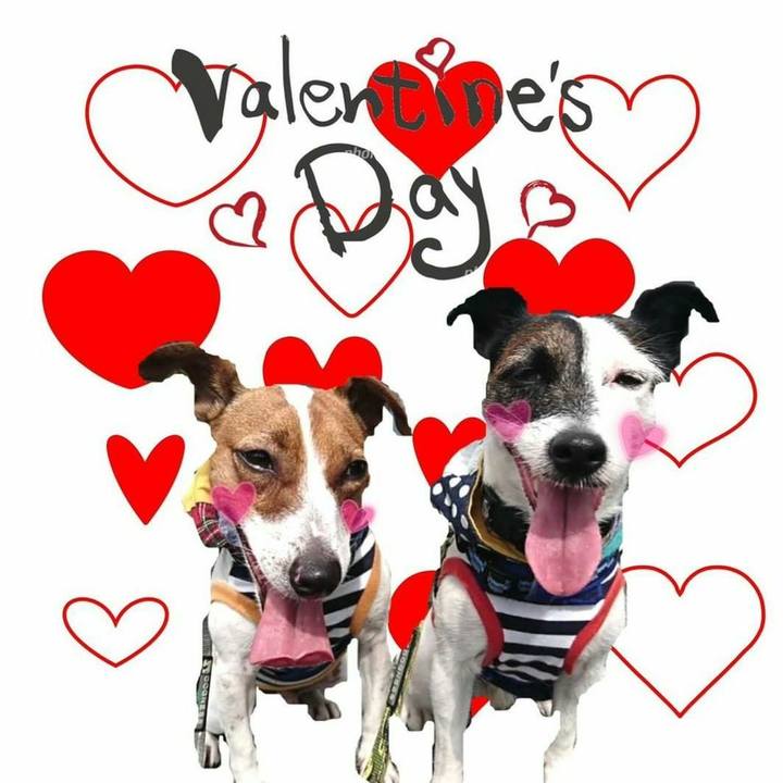 B0119f6e ecfa 4c40 a5fd 29281a691a4e 1550113534351