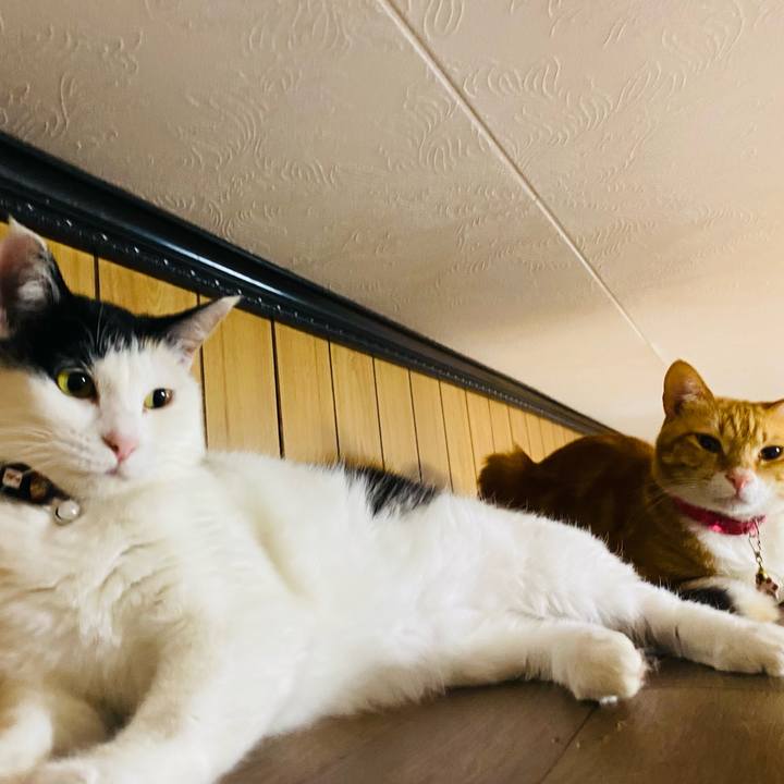 B011e69f 1079 4d31 a9e4 dd2d21e60da3 1651267385424