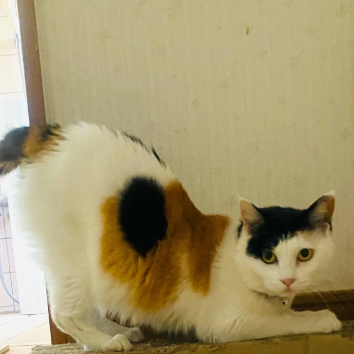 B011eb98 c605 45db a436 0eafe33b4fc6 1653827027702