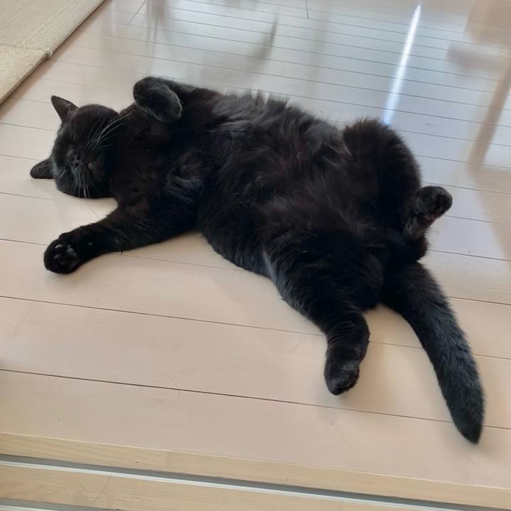 B011fe5b 4cb5 4e1c a9cb 858b724da826 1660631111660