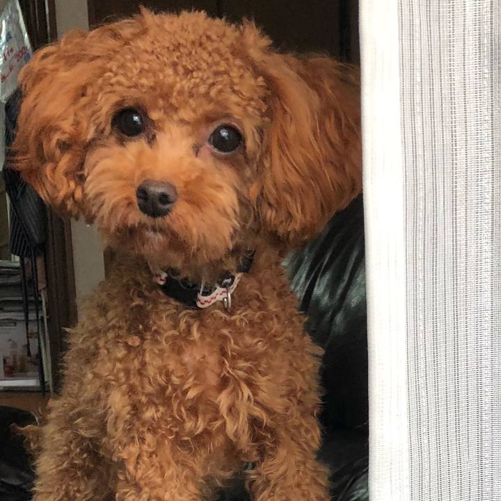 B0121e9f 9c3e 44fc a80f 0e848abe77ae 1509632064153