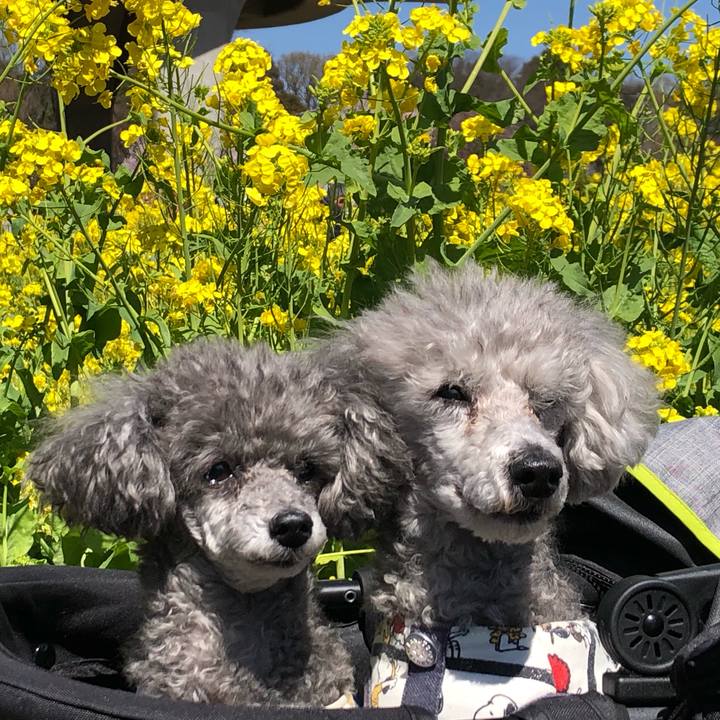 B012514c d970 474b 8f9d 86bca6140bc2 1585140059641