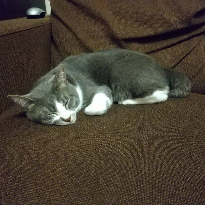 B01285d2 a035 4455 a105 65b59f9e8214 1620745619140