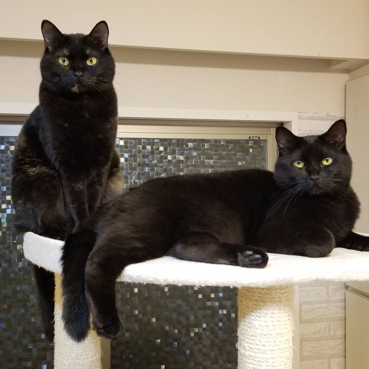 B01291e4 83a4 4bf2 b4e5 4f9eb79a652f 1581516596342