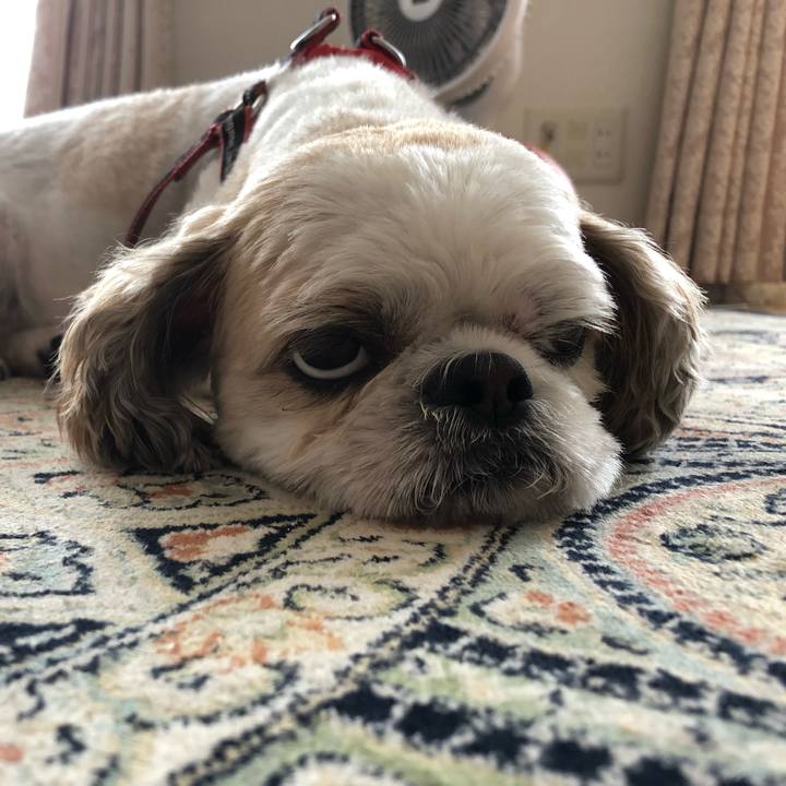 B012a7ce c0f6 4d49 a780 e1efb9b71a20 1564177713324