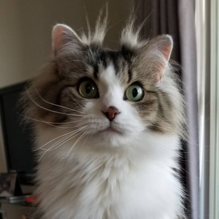 B012f311 1412 4b7e b629 cf9d30345927 1558646702010