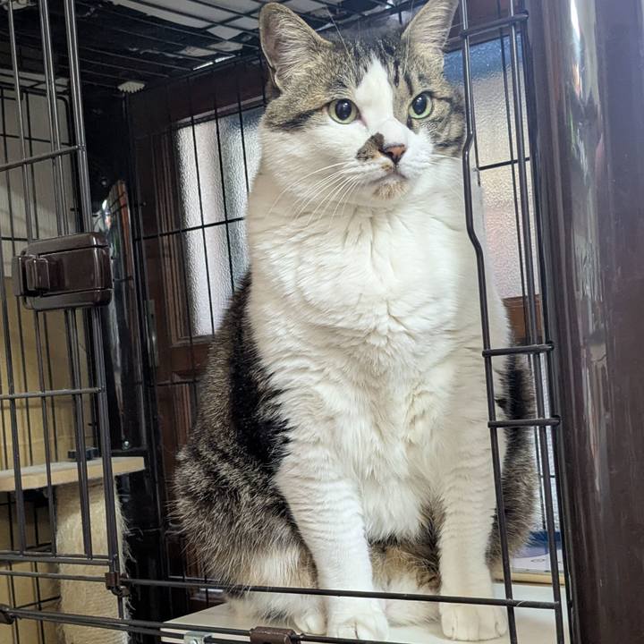 B01308bc 3ebd 46a9 813d 499c9b97aa74 1773310565607