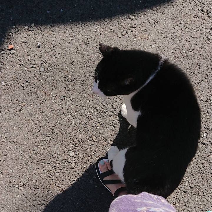 B0137f24 5931 4748 b1ad 1f2baa0c4620 1694486776211