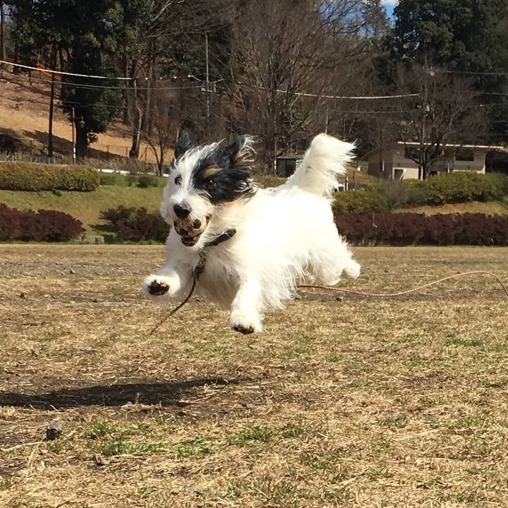 B0138d2b 6b8e 42a7 a3ae 839ae4a0e0c4 1523309519264