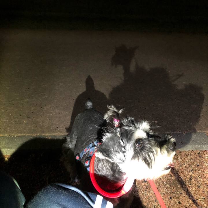 B013919d 4603 4e50 90c9 4ccdbab178d3 1634383154895