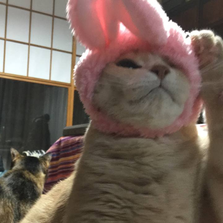 B013a9d1 6580 4c38 999f f521b33913d2 1544356504729