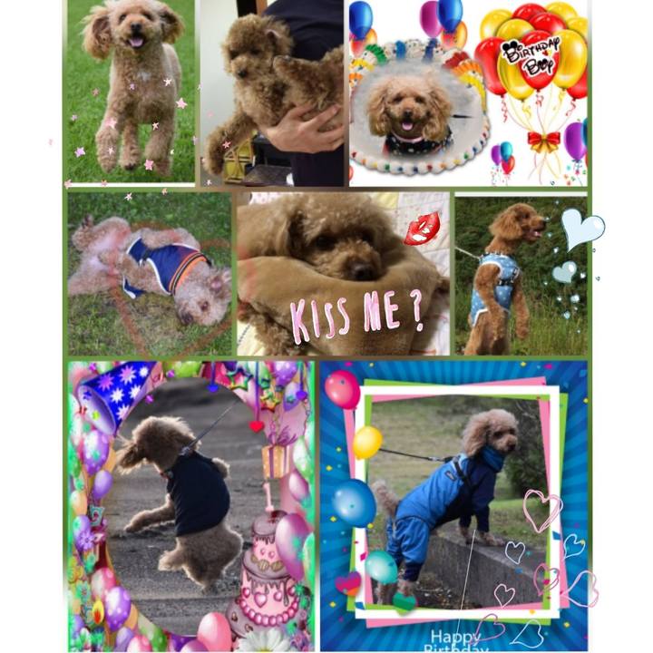 B013be2f b658 4bde 930e dcc631c7f925 1545054610843