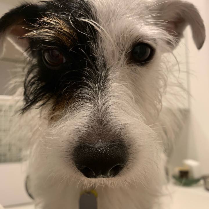 B013d1f0 6b97 46ba 9967 fee2ced4fddb 1562494099032