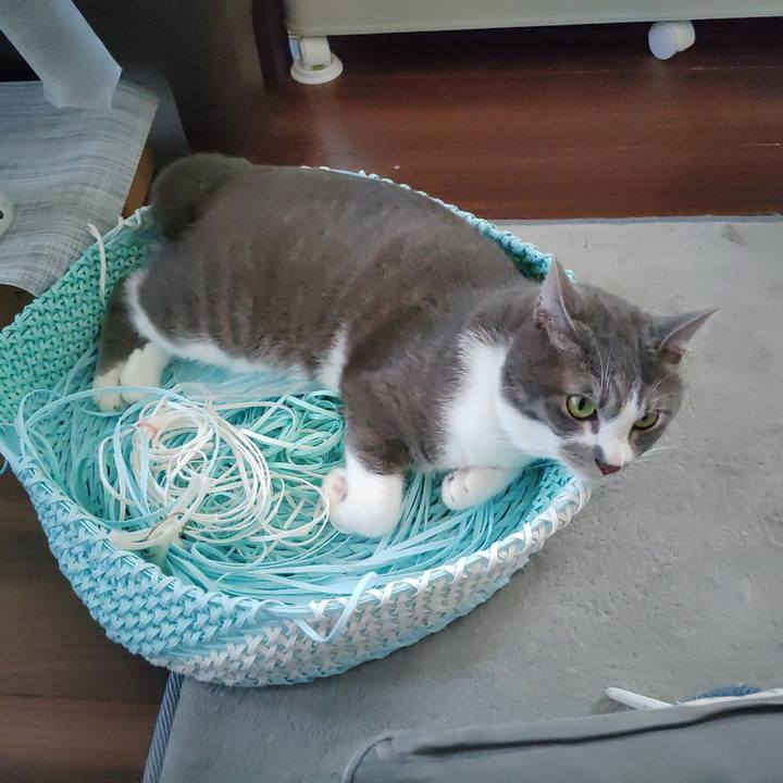 B013e873 07a2 4298 9c0b 736751cbcf60 1656572184566