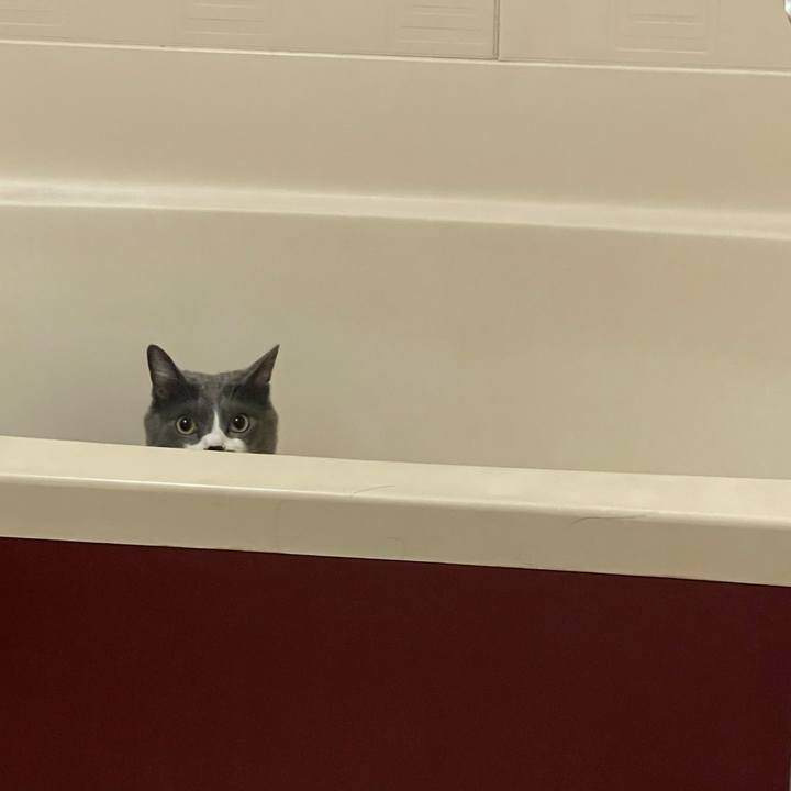 B013ea80 4969 40d0 a091 f88f7c68d45c 1688728148638