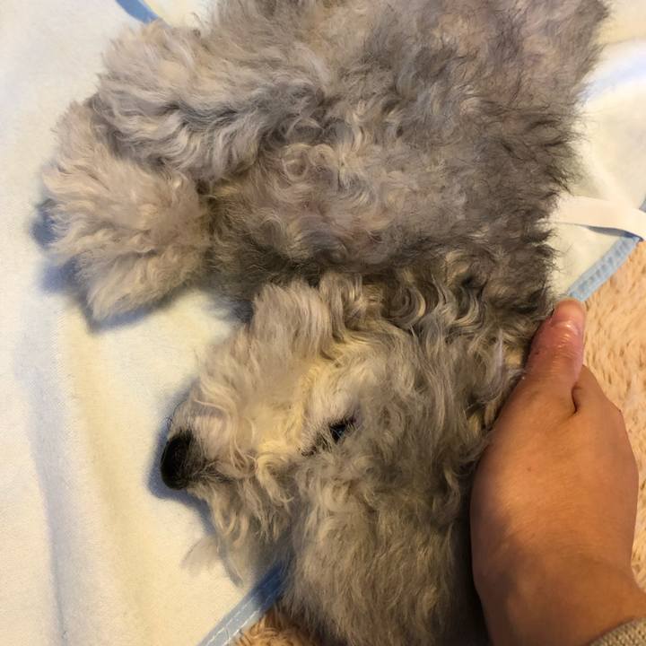 B0140f59 2ddb 401b b98a d64f35722a90 1542152006131