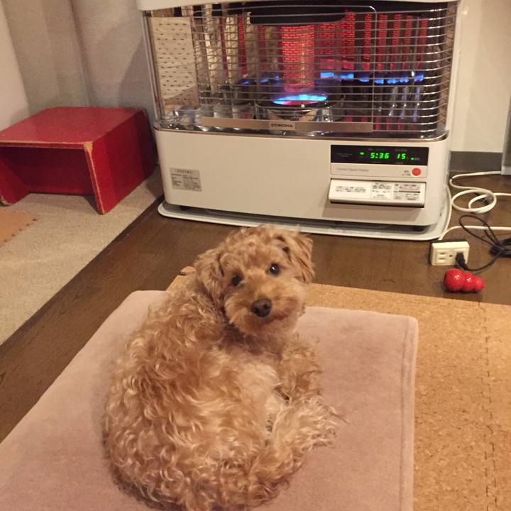 B014133c 6273 4292 adac b64563f65961 1510778953685