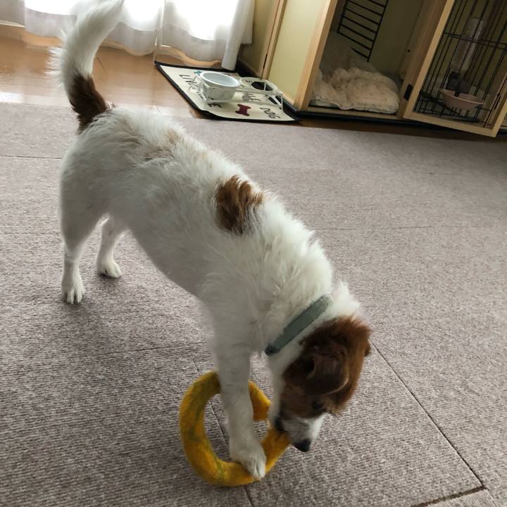 B0141b96 81bd 4ef1 b4c5 d0174e373665 1560060266812