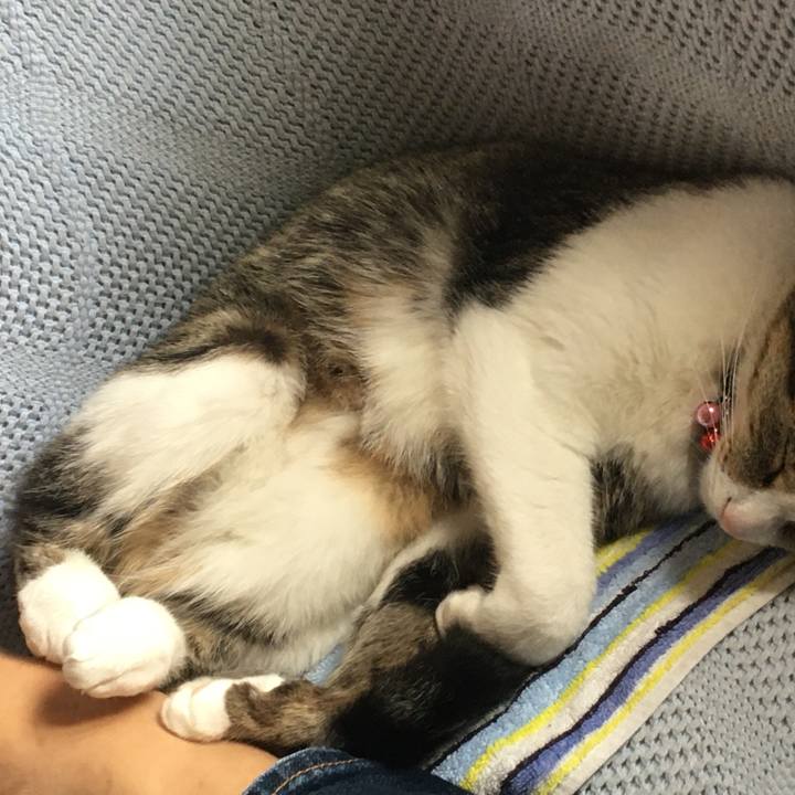 B0145aa4 0997 486c b873 47e73c019e81 1659500598442