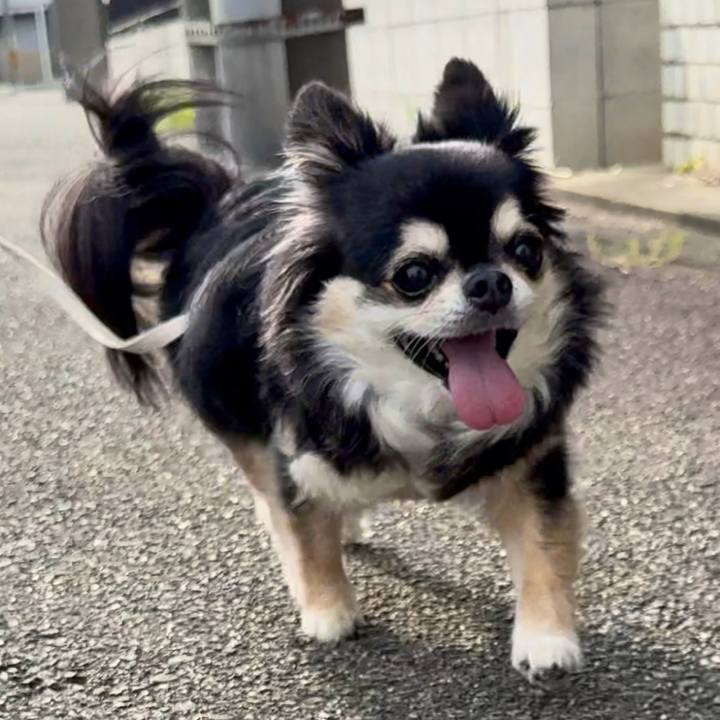 B014774f 1f8f 40ee adf5 634af9b73a78 1752373580140