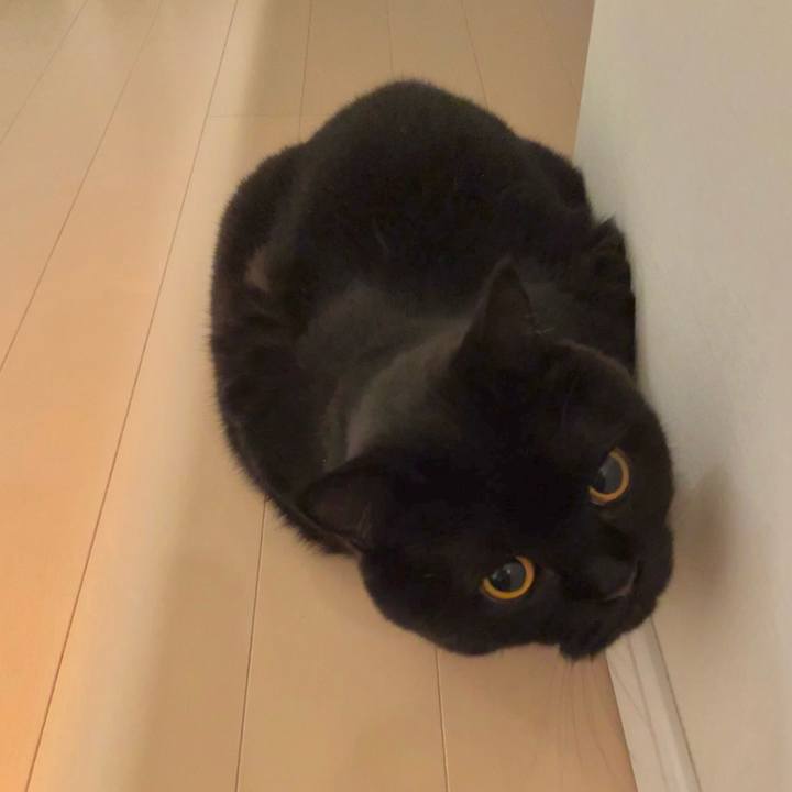 B014b4ac 34c2 410c ab6f e128bf611fc8 1666094134857