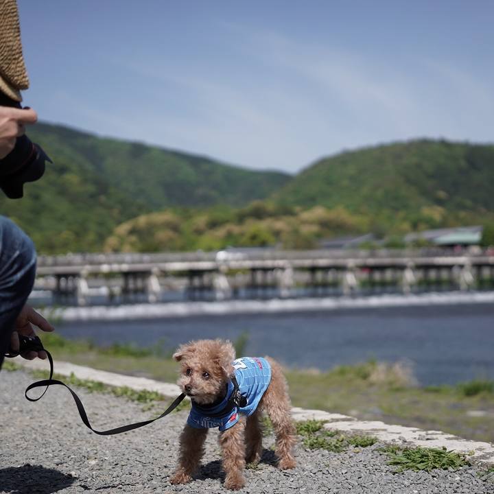 B014f860 4318 431c a81f 488593b9e5ae 1683329611014