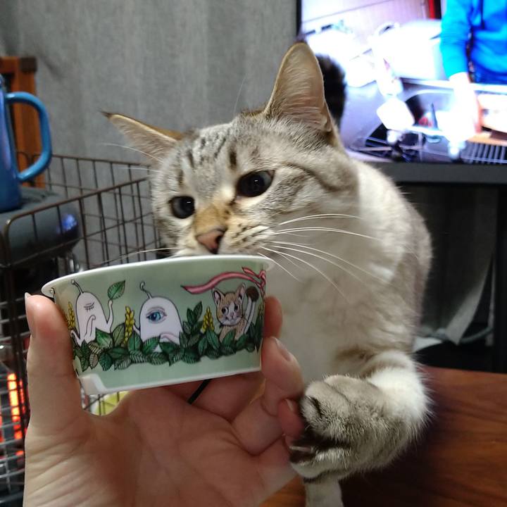 B0150204 5b93 4ced b832 ef7fa54a1a72 1643974211447