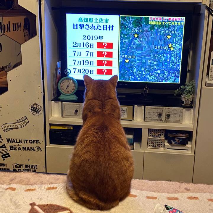 B015096b 1828 40c9 b35e 229bf9740ed0 1578102416312