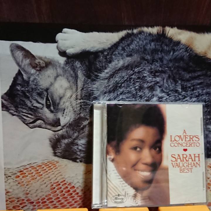 B0150c56 34b3 4ad9 92f1 01473c77c588 1614077694893