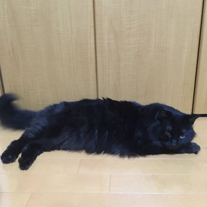 B0153524 8c9a 461d b306 53450d5f5340 1560095389803