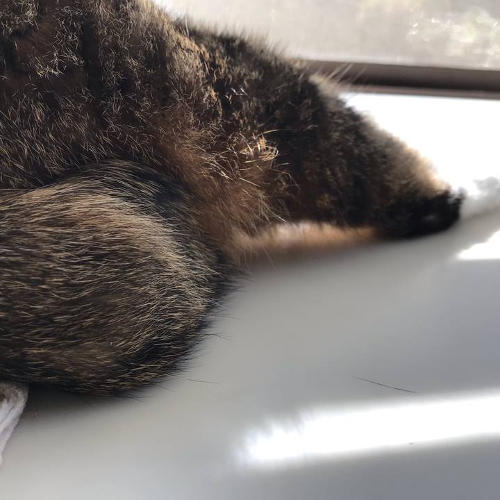 B0153999 0f20 4816 b107 310d7c5f0d8b 1572436874345