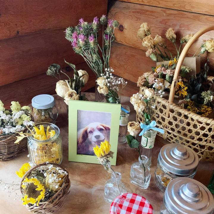 B01569ed 365e 4ff1 8f4f fa43abe9d7a0 1626670280498