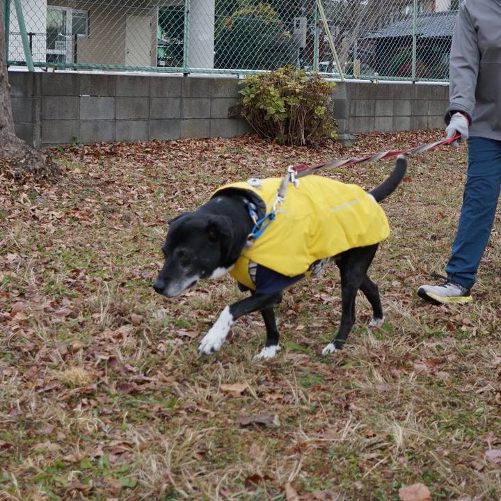 B015a4cc dda9 4f09 a7ff 7b125a199c31 1766189677790