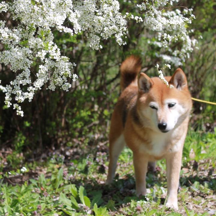 B015c3c2 134a 4d87 8c41 a398f9d3eacf 1648445691758