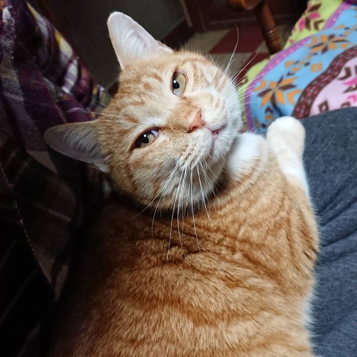 B015ce61 0a9a 4141 8255 165c61ac5b9d 1577049375418